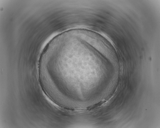 X0000078291151200611251437