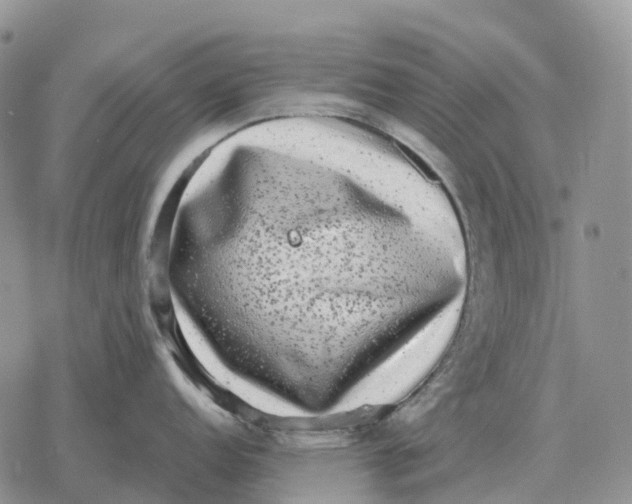 X0000078291152200611251437