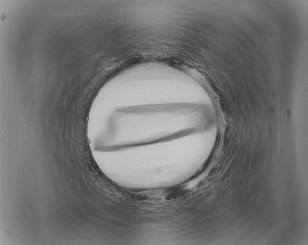 X0000078291153200611251436