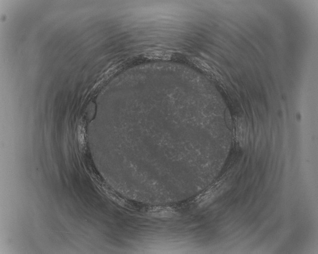 X0000078291154200611251436