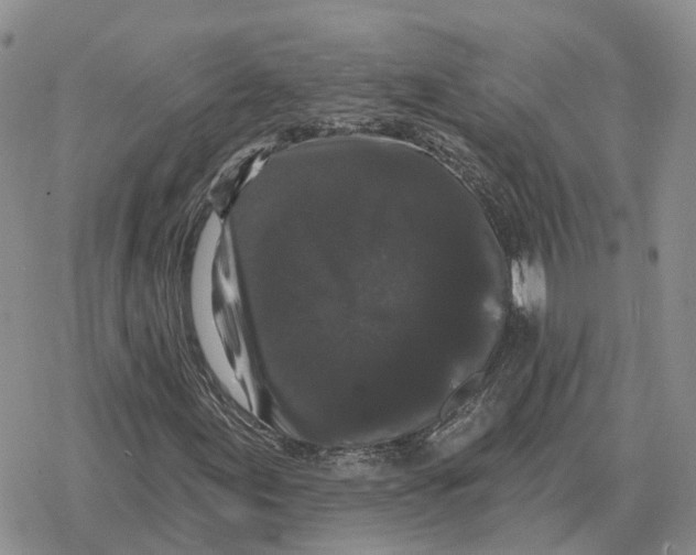 X0000078291155200611251436