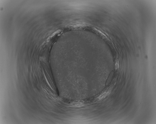 X0000078291156200611251436