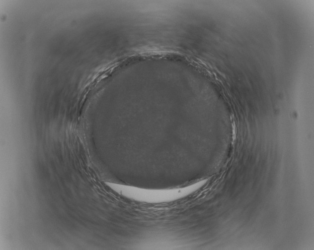 X0000078291157200611251436