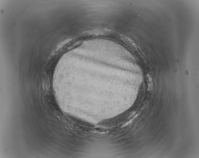 X0000078291158200611251436