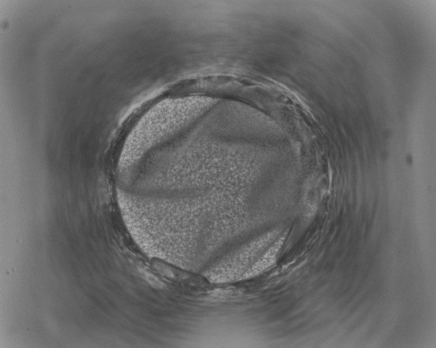 X0000078291160200611251436