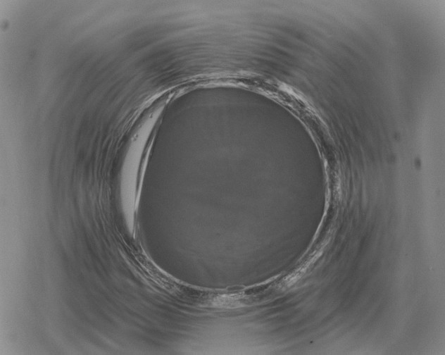 X0000078291161200611251436