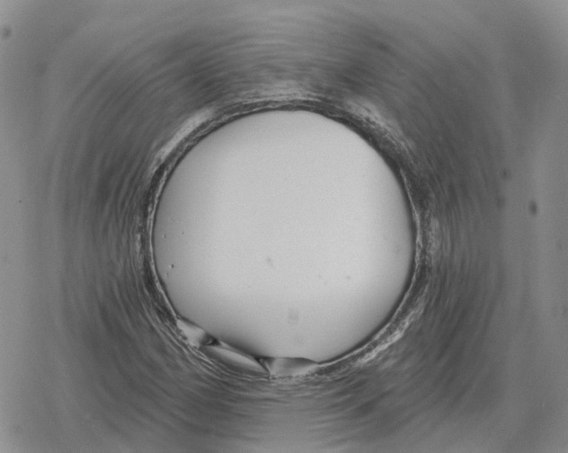 X0000078291162200611251436