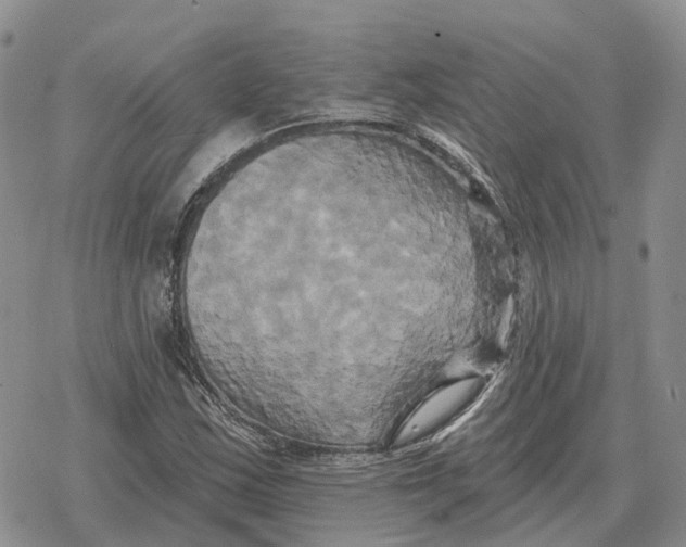 X0000078291163200611251436