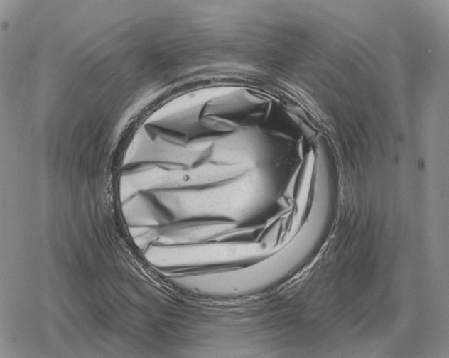 X0000078291164200611251436