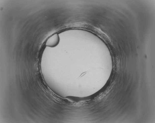 X0000078291166200611251436