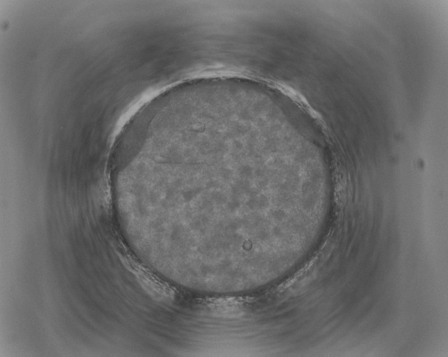 X0000078291167200611251436