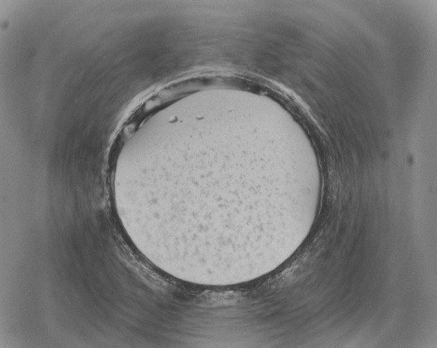 X0000078291168200611251436