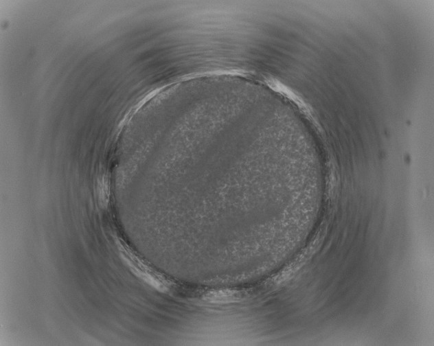 X0000078291169200611251436