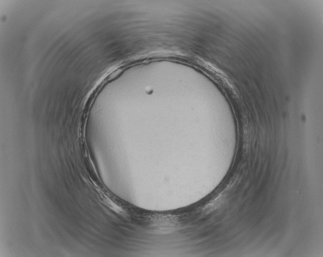 X0000078291170200611251436