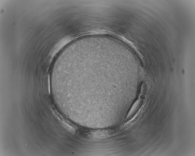 X0000078291171200611251436