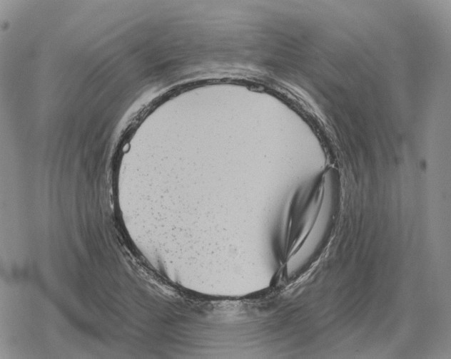 X0000078291172200611251436