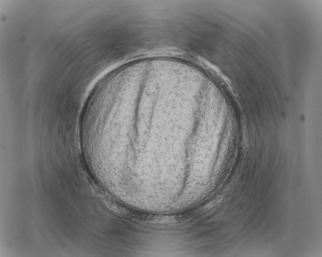 X0000078291174200611251436