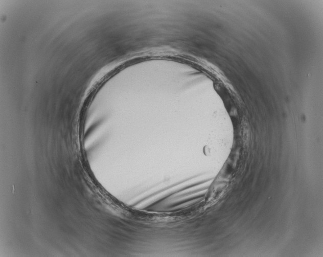 X0000078291176200611251436