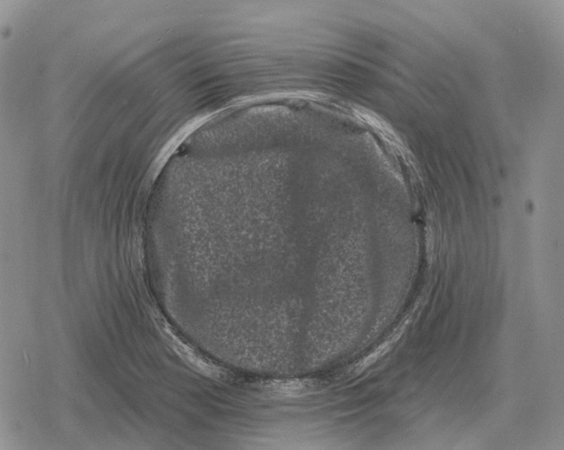 X0000078291177200611251436