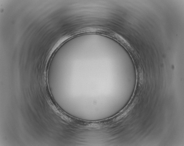 X0000078291178200611251436