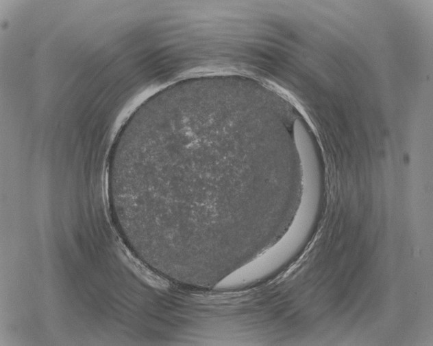 X0000078291179200611251435