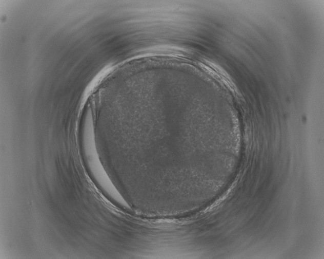 X0000078291180200611251435