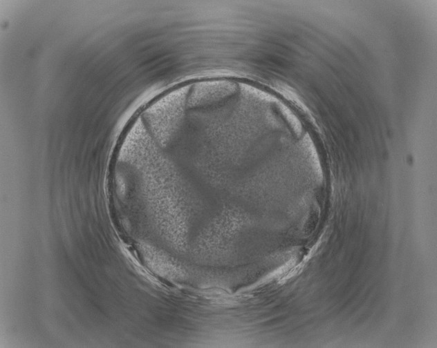 X0000078291181200611251435