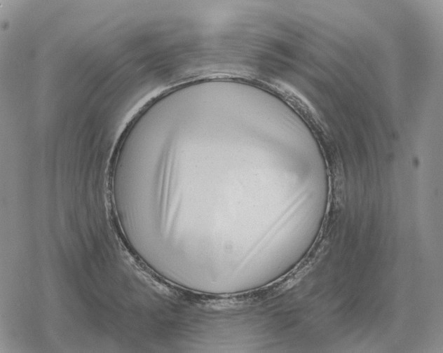 X0000078291182200611251435