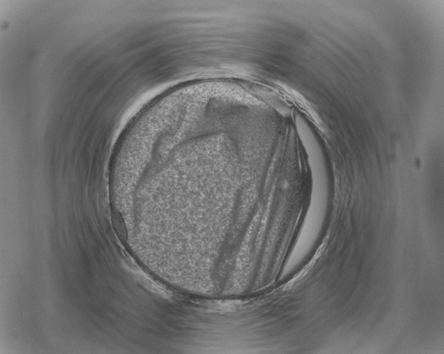 X0000078291184200611251435