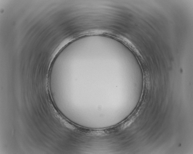 X0000078291186200611251435