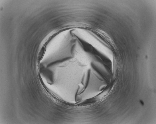 X0000078291188200611251435