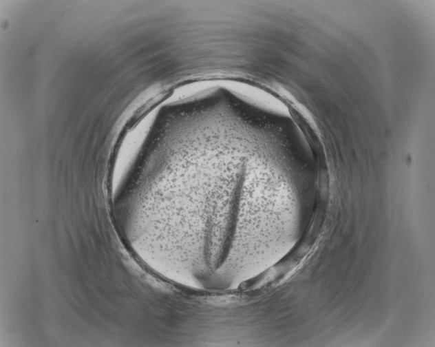 X0000078291189200611251435