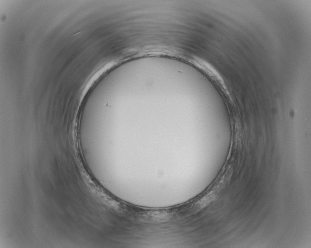 X0000078291190200611251435