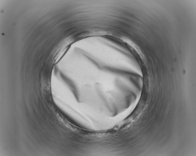 X0000078291193200611251435