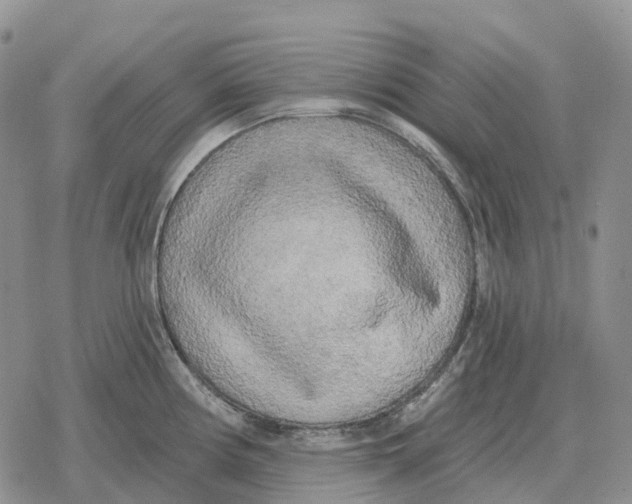 X0000078291194200611251435