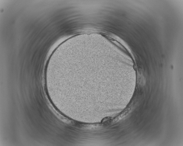 X0000078291195200611251435