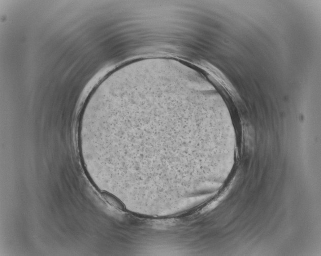 X0000078291196200611251435