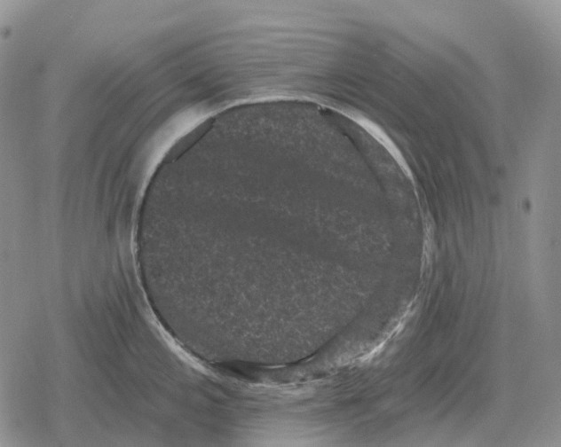 X0000078291197200611251435