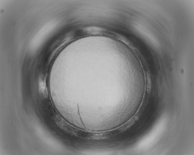 X0000078291198200611251435