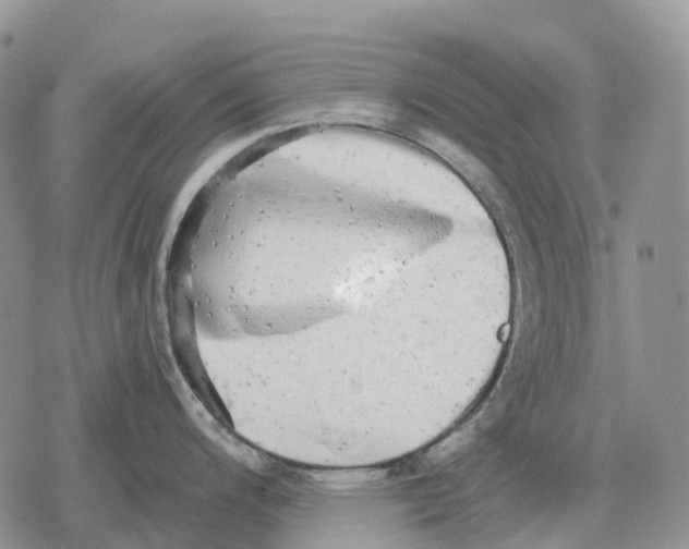 X0000078291200200611251435