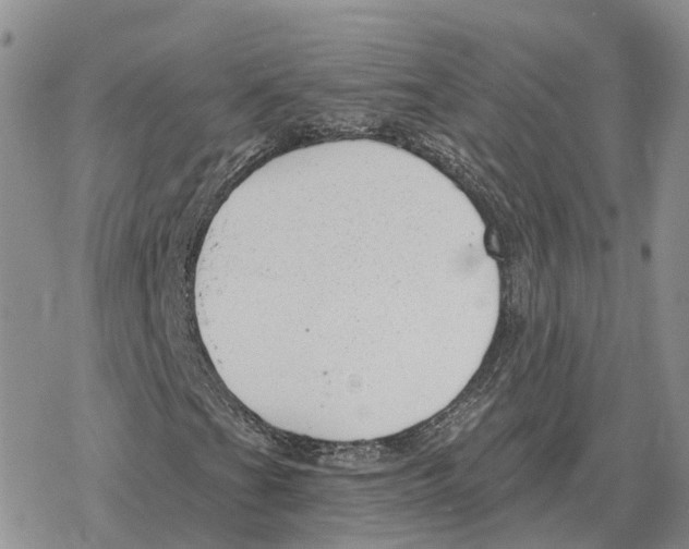 X0000078291201200611251434