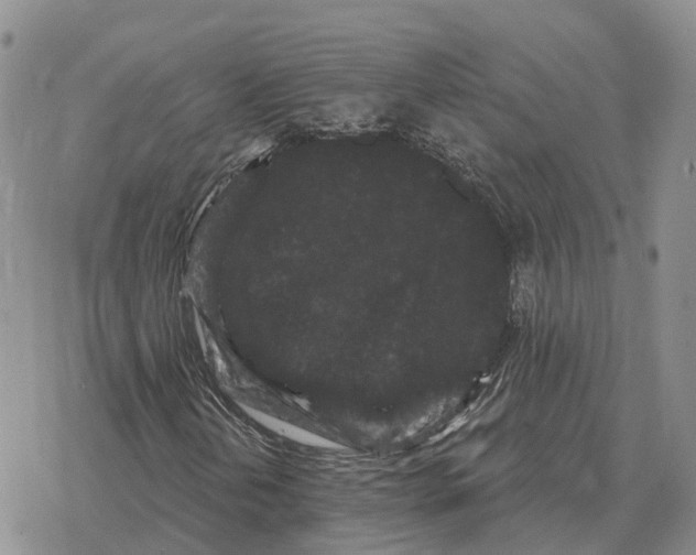 X0000078291202200611251434