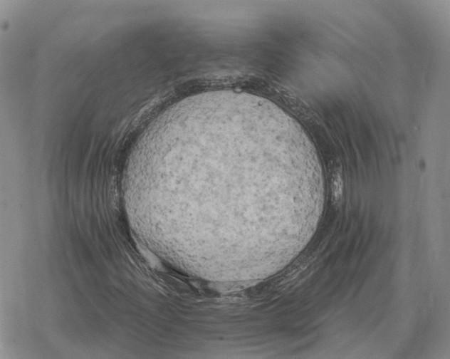 X0000078291204200611251434