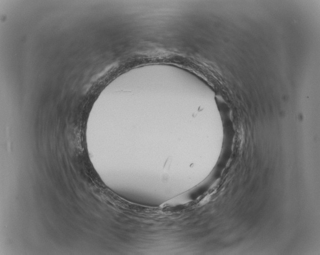 X0000078291205200611251434