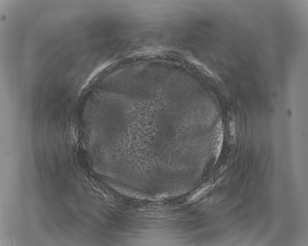 X0000078291206200611251434