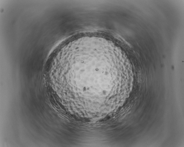 X0000078291208200611251434