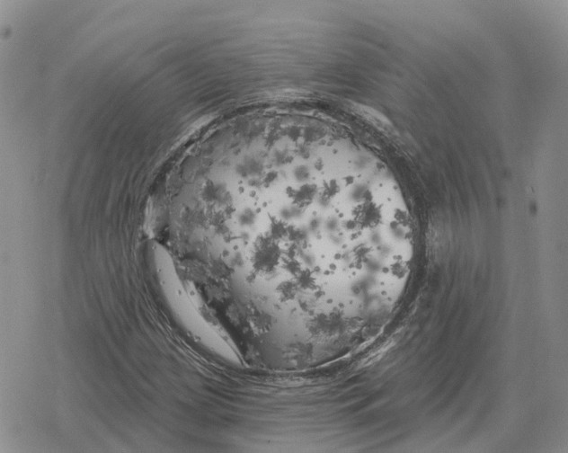 X0000078291209200611251435