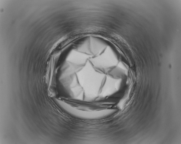 X0000078291210200611251435