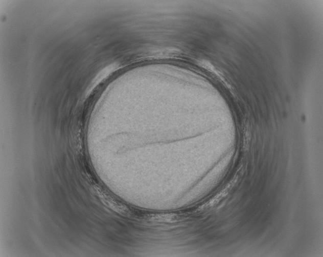 X0000078291211200611251435