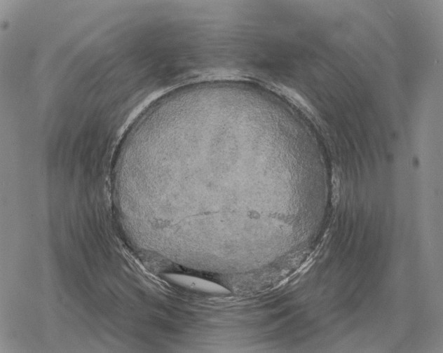 X0000078291212200611251435